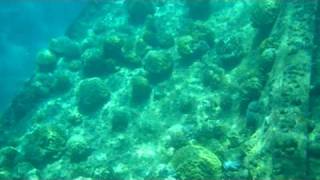 IMGP0375