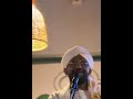 إنت حكمه إنت أيه الدكتور محمد دفع الله