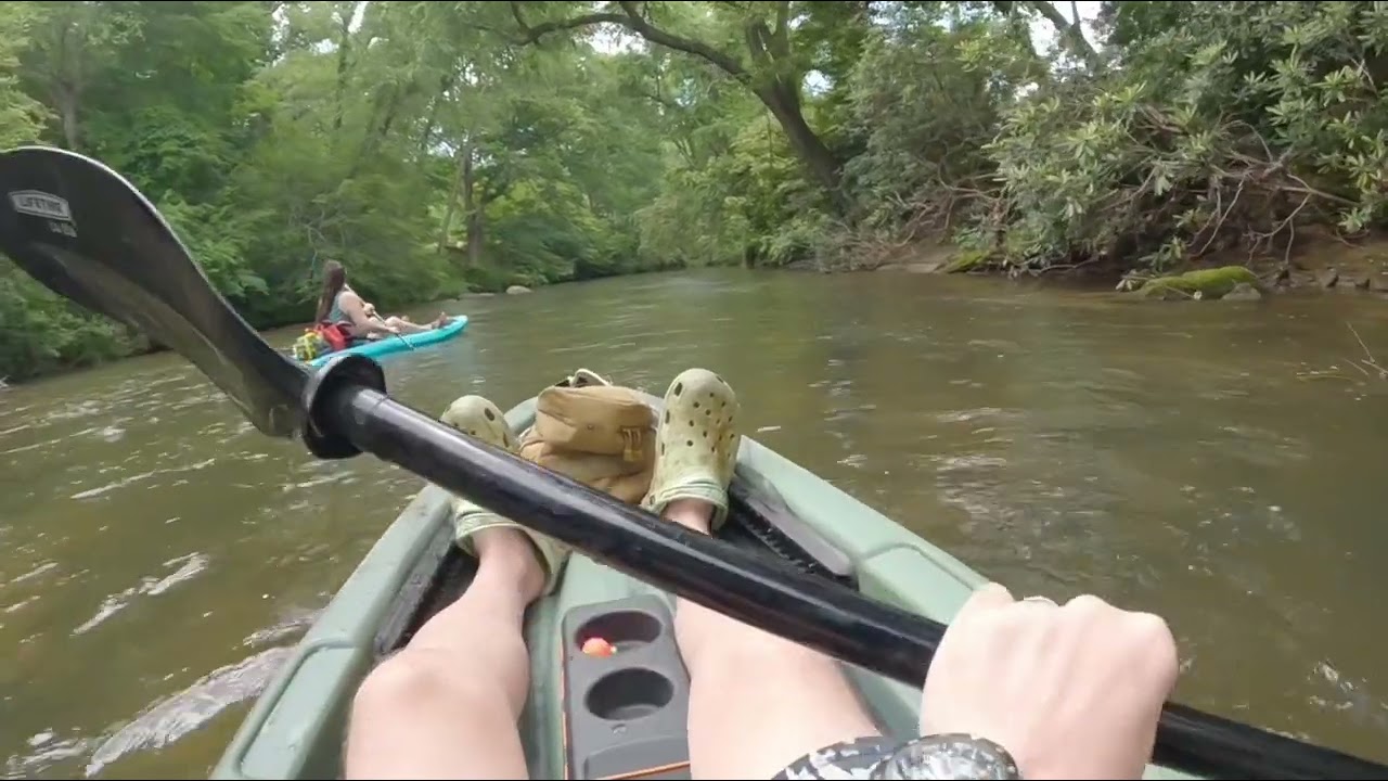 Lets Go on the Dan River!! Jessup Mill to Hart Road access.   6 miles of river.
