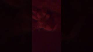 Cool transition #transition #teddys #love