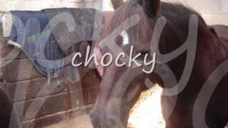 Last Day At Hulberts Green