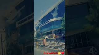 TOSHKENT MOLIYA INSTITUTI🏦🏦