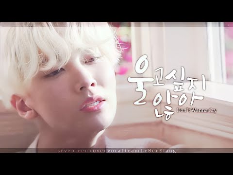 [세븐틴 커버보컬팀] 𝑳𝒆𝑩𝒆𝒏𝑺𝒍𝒂𝒏𝒈 - 울고 싶지 않아 COVER ♪