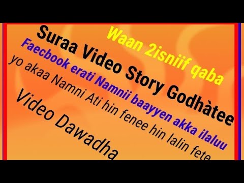 Videi Fii Suraa Namnii Bayye Akkaa Ilaluu Nii Feta Nama Atii Hin Fene Akka Hin Lalee Gochu Nidadesa