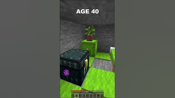 Smallest Bases at Every Age In Minecraft (World