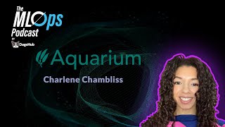 💬 MLOps for NLP Systems with Charlene Chambliss – DagsHub