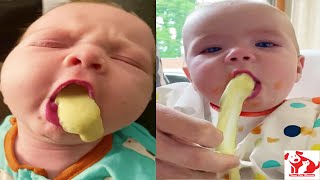 11minutes of Baby  - What will parents feel when they see the angels...? - Funny Pets Moments