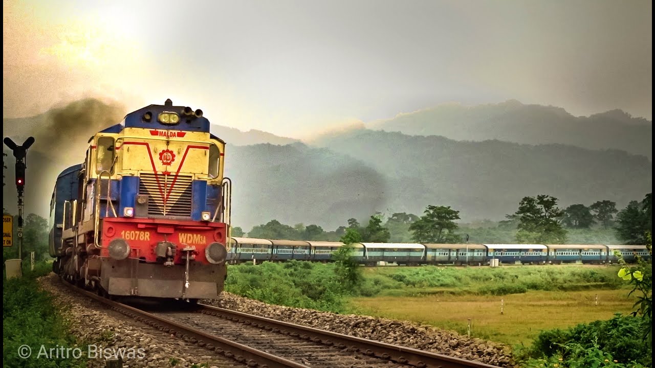 Train in Mahananda Forest || Diesel train taking a huge curve || NFR