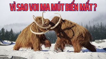 Bí ẩn tuyệt chủng: Vì sao Voi Ma Mút biến mất? | Khám Phá Thiên Nhiên