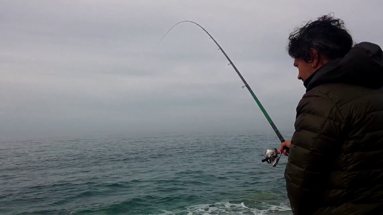 Pesca in mare con la bolognese Daiwa Tournament F1 Classic YouTube Pesca in mare con la bolognese Daiwa Tournament F1 Classic YouTube