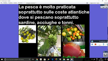 Su cosa si basa l'economia della Spagna?