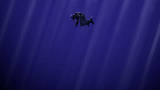 Cower at the Depths Below - Function Override Diary Log 6