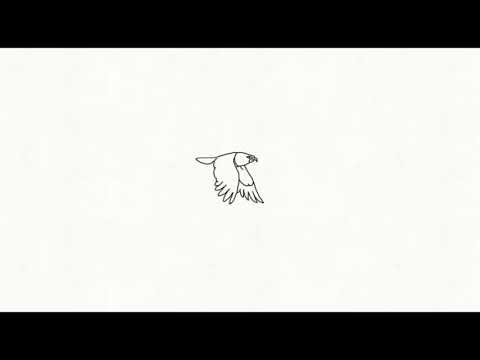 flipa clip,animation flying bird