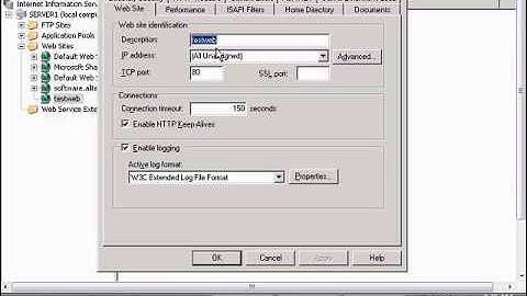 Allow scripts and executables to run on a website in Windows IIS