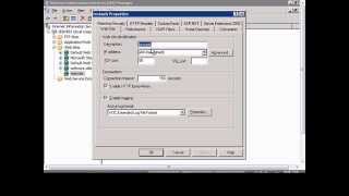 Allow scripts and executables to run on a website in Windows IIS