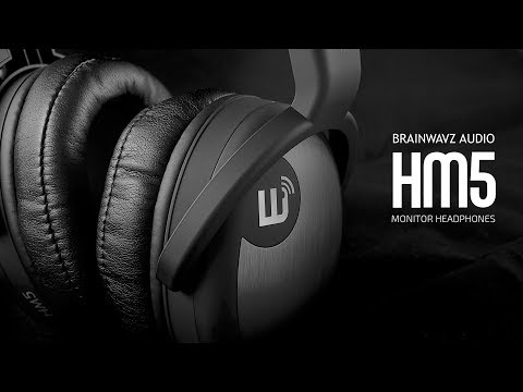Brainwavz HM5 Monitor Headphones