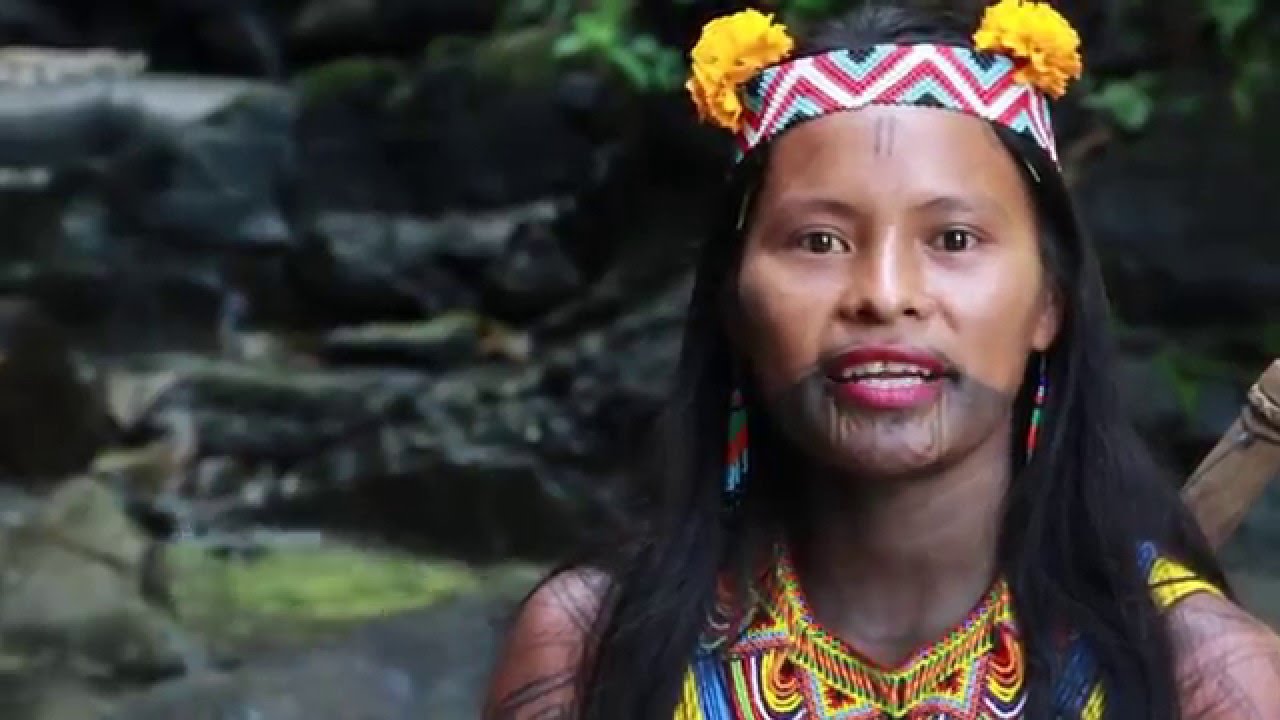 Vídeo Institucional IPSE 2015