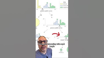 Dtreeviz 2.0 - Visualizing Decision Trees