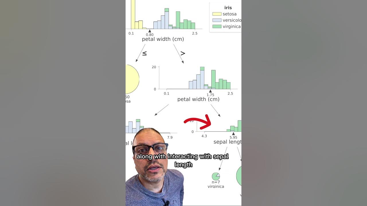 Dtreeviz 2.0 - Visualizing Decision Trees - YouTube
