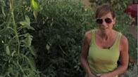 CaliKim29 Garden & Home DIY 