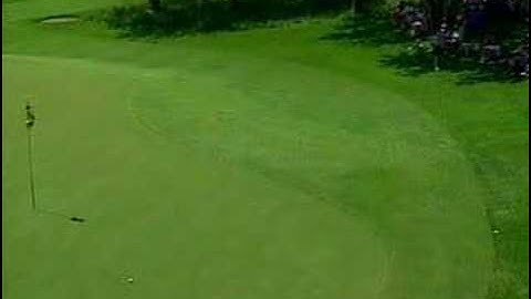 Fuzzy Zoeller Hole in One