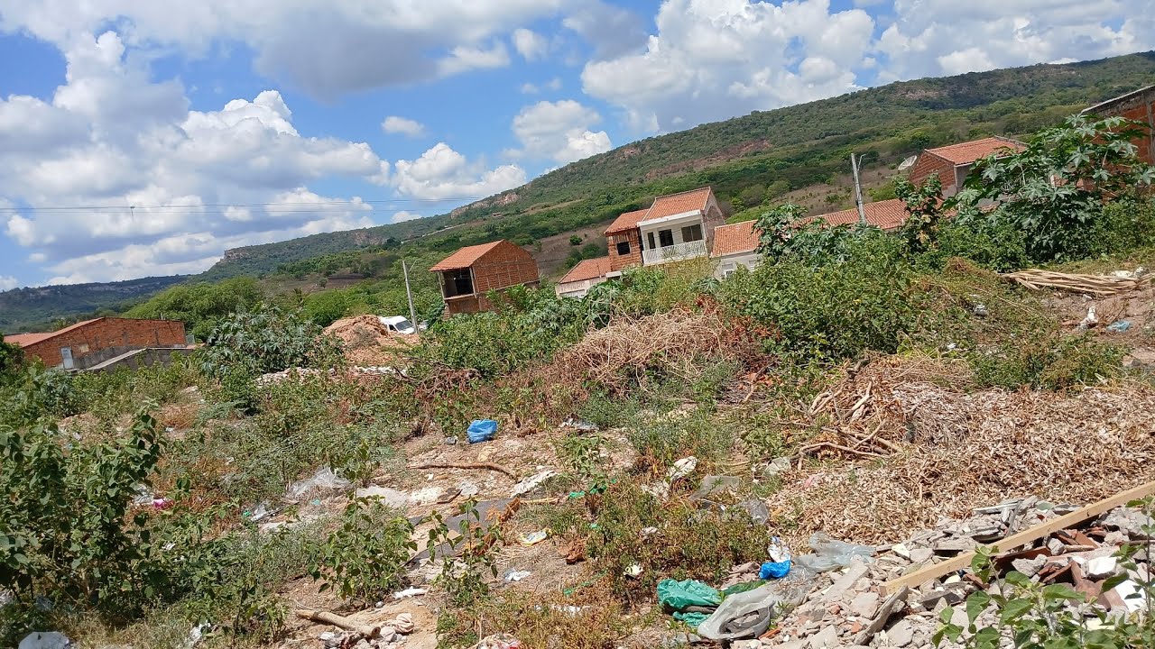 É o dia a dia de jardim Ceará...