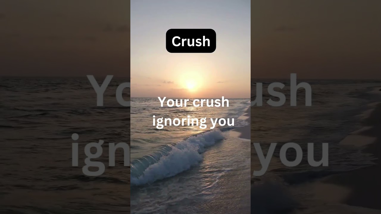 Crush Chronicles: Decoding the Silent Language of Emotions 