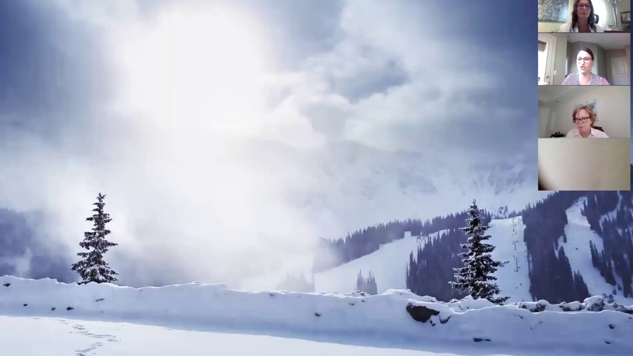 Rotary District 5360/5370 Volunteer Connector Training June 22, 2020