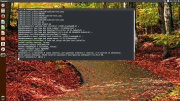 Установка Sublime Text 3 в Ubuntu