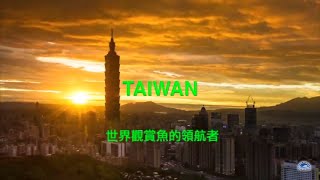TAIWAN世界觀賞魚的領航者封面圖
