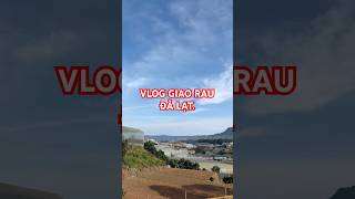 Giao rau đà lạt chill như du lịch. #dalatvlog #giaoraudalat #dalatchill