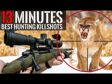 BEST HUNTING KILL SHOTS in 13 MINUTES