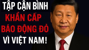 Tập Cận Bình Khẩn Cấp Báo Động Đỏ Vì Việt Nam !