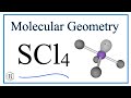 Molecular Geometry of SCl4