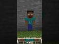 呪われたスティーブ😱 #マイクラ #minecraft #shorts