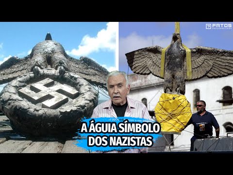 Vídeo: Cruzeiros da classe 