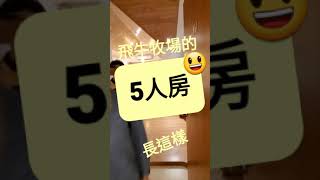 苗栗通霄 飛牛牧場🐮5人房🛌原來這麼大，也是經濟實惠的好景點😃😃