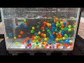 Relaxing video ☆ Water sounds and ball sounds, transparent pipes and aquarium marble run