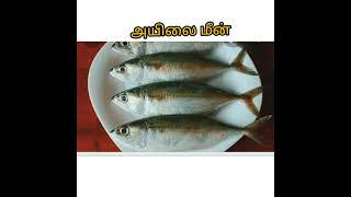 Fishes and uses #fish #novisha