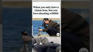 A photographer uses a wide 23mm lens for wildlife photography. A photographer uses a wide 23mm lens for wildlife photography.