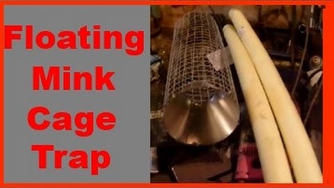 Floating Mink Cage Trap