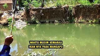 DI UJI !!Mancing di musim kemarau memang harus benar2 sabar