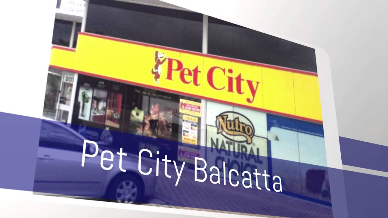 Pet City Balcatta Intro YouTube