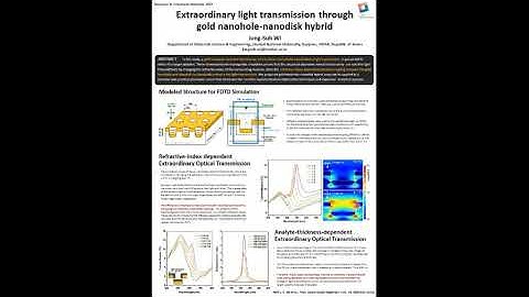 Extraordinary light transmission through gold nanohole nanodisk hybrids