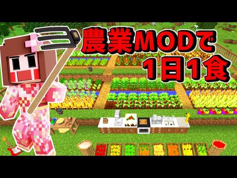 マイクラ 農業ｍｏｄでおかしな二人の新生活 農業 家具mod Ep１ Youtube