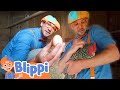 Blippi Visits a Farm! | Animals for Kids | Healthy Eating Videos | Educational Videos for Kids
