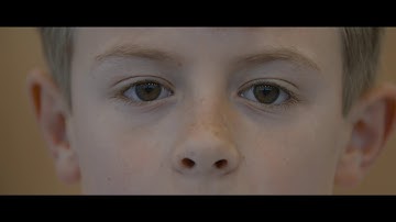 VC Pines - Garden Of The Year (Official Video)