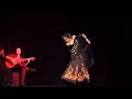 Manton de Manila Flamenco dance demonstration by Puela Lunaris for Flamenco Is Hot instruction video