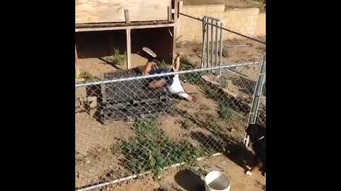 David Lopez Vine A little bit of vine #magic for you all Totally landed it #remake #loop