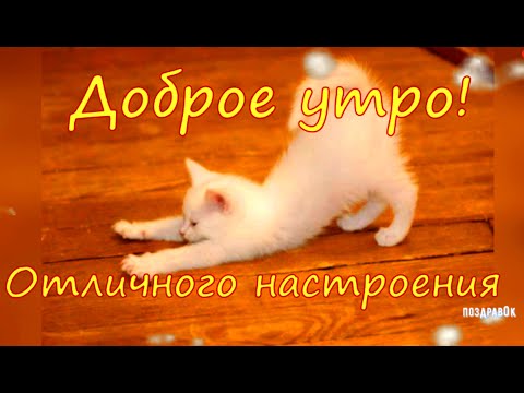 Доброго утречка, хорошего настроения и отличного дня! Позитивное пожелание на утро!